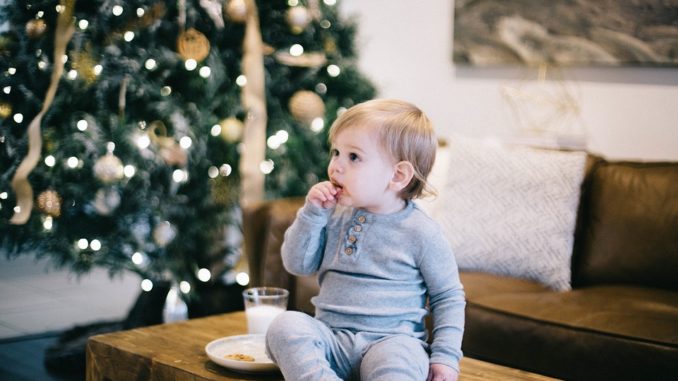 Babykost