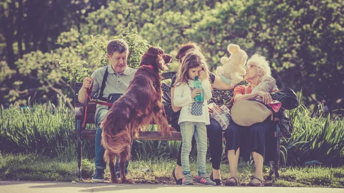 Familienhunde