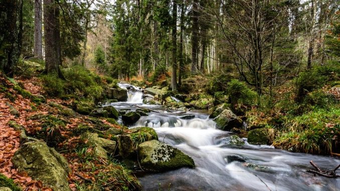 Familienurlaub im Harz