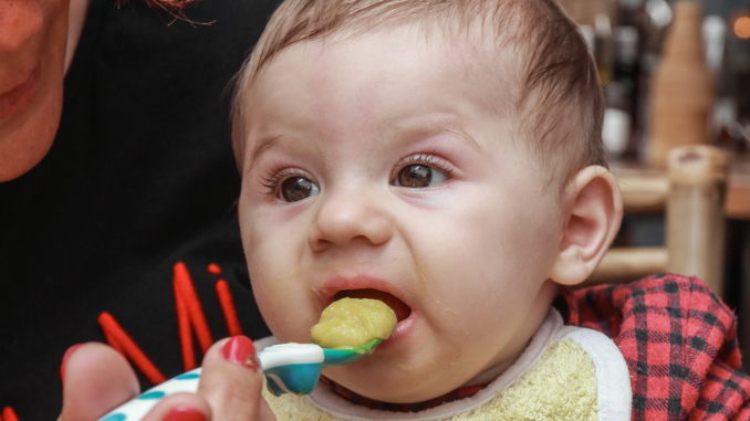 Babybrei selbstgemacht - was man beachten sollte