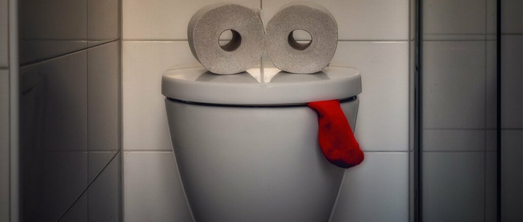 Popo Dusche statt WC Papier