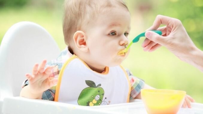 Baby Led Weaning: Ein Überblick