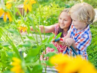Gärtnern mit Kindern - was gilt es zu beachten?