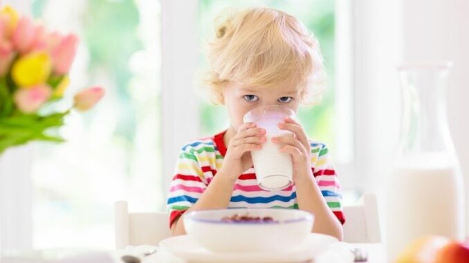 Wie gesund ist Müsli?