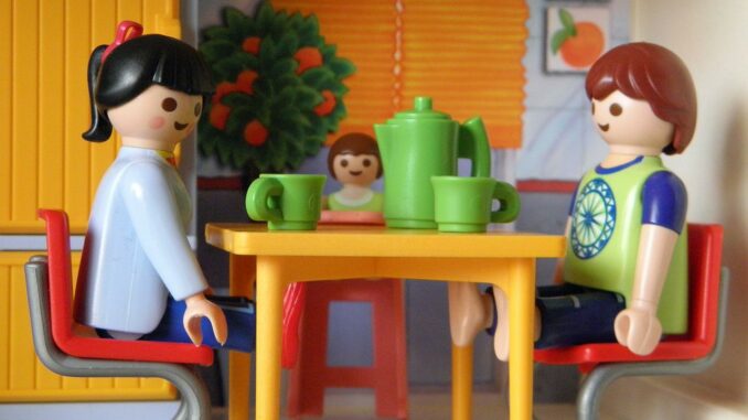 playmobil mitnehm puppenhaus
