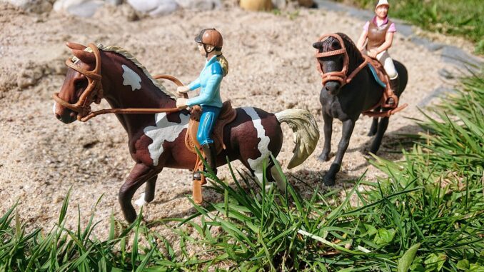 schleich reiterhof mit reiterin