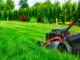 Ein grüner Rasen ohne Chemikalien: Natürliche Rasenpflege für Ihre grüne Oase